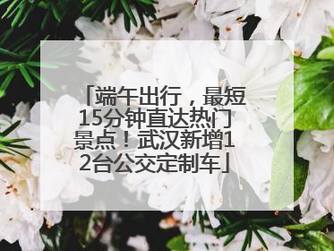 端午出行，最短15分钟直达热门景点！武汉新增12台公交定制车