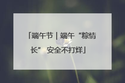 端午节｜端午“粽情长” 安全不打烊