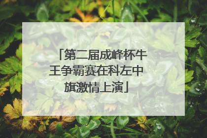 第二届成峰杯牛王争霸赛在科左中旗激情上演
