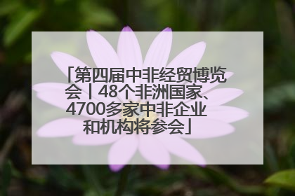 第四届中非经贸博览会丨48个非洲国家、4700多家中非企业和机构将参会