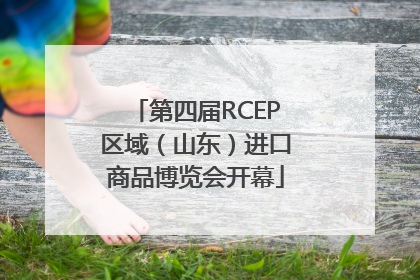 第四届RCEP区域（山东）进口商品博览会开幕