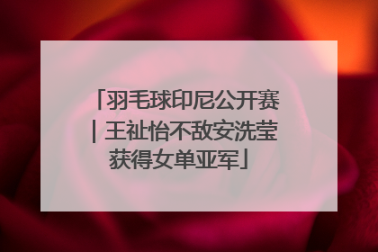 羽毛球印尼公开赛｜王祉怡不敌安洗莹 获得女单亚军