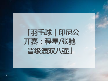 羽毛球｜印尼公开赛：程星/张驰晋级混双八强