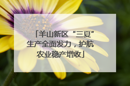 羊山新区“三夏”生产全面发力，护航农业稳产增收