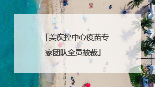 美疾控中心疫苗专家团队全员被裁