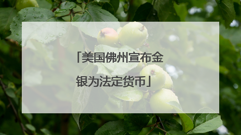 美国佛州宣布金银为法定货币