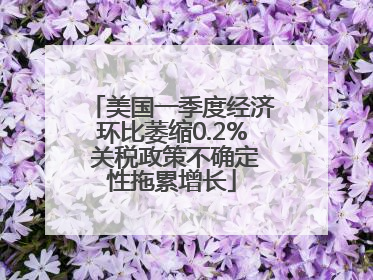 美国一季度经济环比萎缩0.2% 关税政策不确定性拖累增长