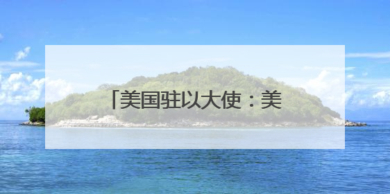 美国驻以大使：美国不再“全力”支持巴勒斯坦建国