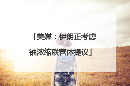 美媒：伊朗正考虑铀浓缩联营体提议