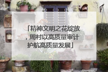 精神文明之花绽放，周村以高质量审计护航高质量发展