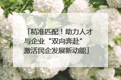 精准匹配！助力人才与企业“双向奔赴” 激活民企发展新动能