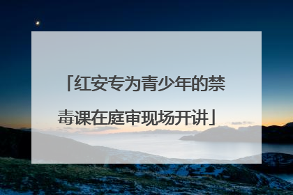 红安专为青少年的禁毒课在庭审现场开讲