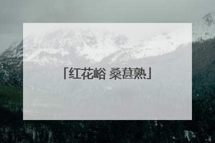 红花峪 桑葚熟