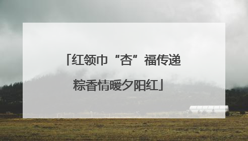 红领巾“杏”福传递 粽香情暖夕阳红