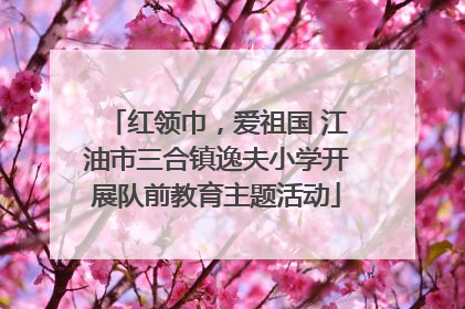 红领巾，爱祖国 江油市三合镇逸夫小学开展队前教育主题活动