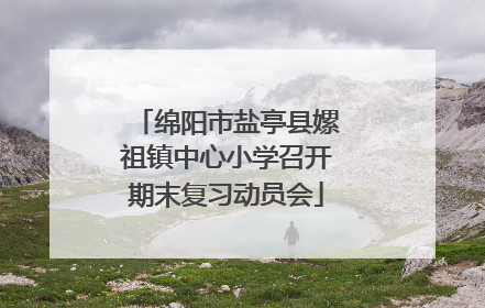 绵阳市盐亭县嫘祖镇中心小学召开期末复习动员会