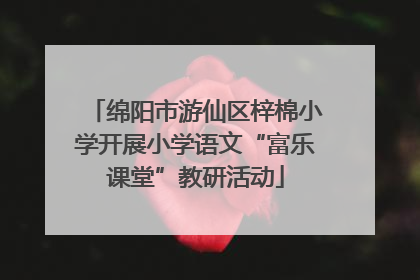 绵阳市游仙区梓棉小学开展小学语文“富乐课堂”教研活动
