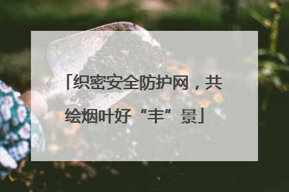 织密安全防护网，共绘烟叶好“丰”景