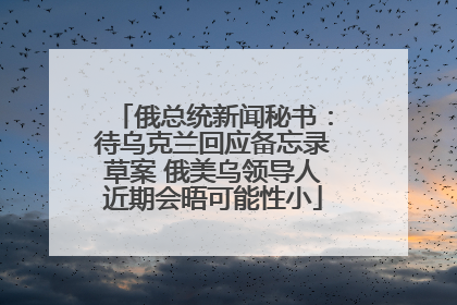 俄总统新闻秘书：待乌克兰回应备忘录草案 俄美乌领导人近期会晤可能性小