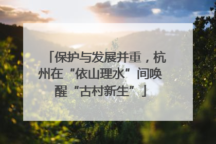 保护与发展并重，杭州在“依山理水”间唤醒“古村新生”