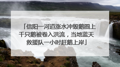信阳一河道涨水冲毁鹅圈上千只鹅被卷入洪流，当地蓝天救援队一小时赶鹅上岸