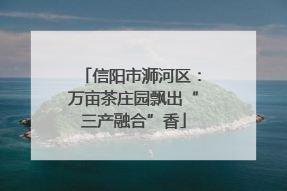 信阳市浉河区：万亩茶庄园飘出“三产融合”香
