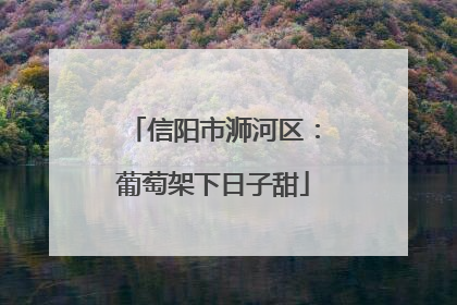 信阳市浉河区：葡萄架下日子甜
