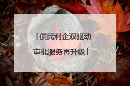 便民利企双驱动 审批服务再升级