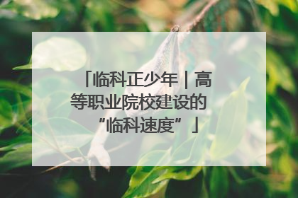 临科正少年｜高等职业院校建设的“临科速度”