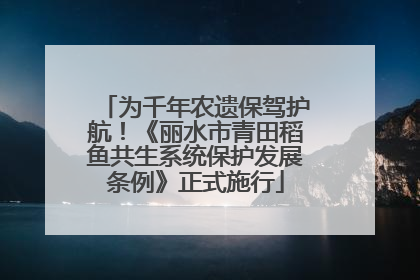 为千年农遗保驾护航！《丽水市青田稻鱼共生系统保护发展条例》正式施行