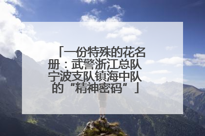 一份特殊的花名册：武警浙江总队宁波支队镇海中队的“精神密码”