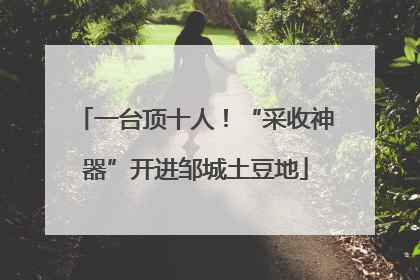 一台顶十人！“采收神器”开进邹城土豆地
