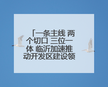 一条主线 两个切口 三位一体 临沂加速推动开发区建设领域改革