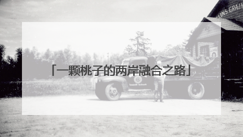 一颗桃子的两岸融合之路