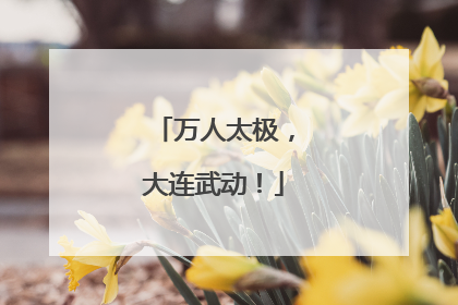 万人太极，大连武动！