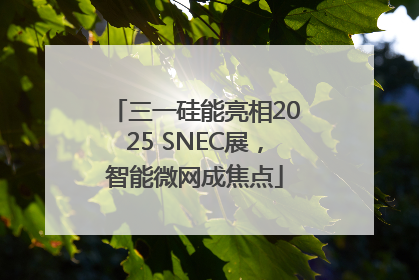 三一硅能亮相2025 SNEC展，智能微网成焦点