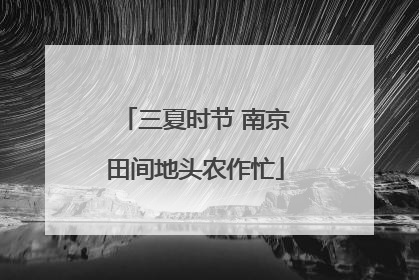 三夏时节 南京田间地头农作忙