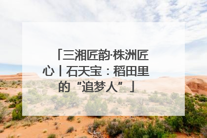三湘匠韵·株洲匠心丨石天宝：稻田里的“追梦人”