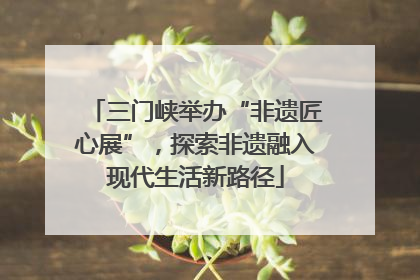 三门峡举办“非遗匠心展”，探索非遗融入现代生活新路径