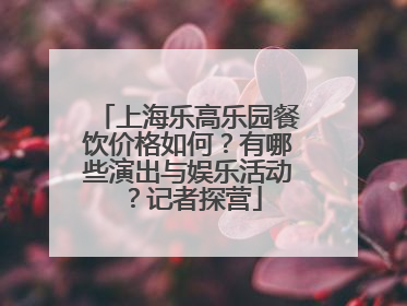 上海乐高乐园餐饮价格如何？有哪些演出与娱乐活动？记者探营