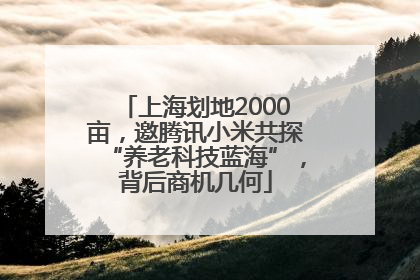 上海划地2000亩，邀腾讯小米共探“养老科技蓝海”，背后商机几何