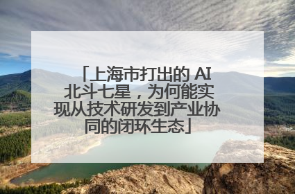 上海市打出的 AI 北斗七星，为何能实现从技术研发到产业协同的闭环生态
