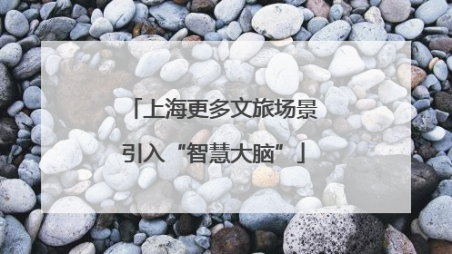 上海更多文旅场景引入“智慧大脑”