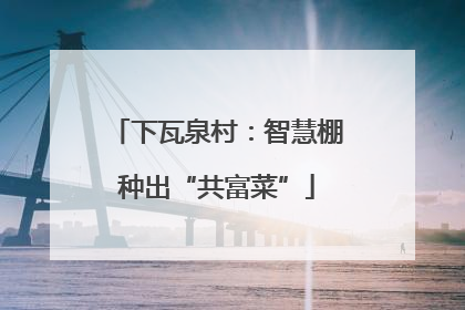 下瓦泉村：智慧棚种出“共富菜”