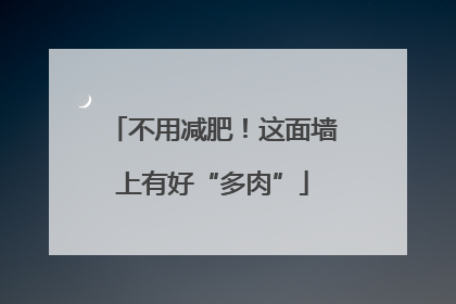 不用减肥！这面墙上有好“多肉”