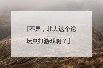 不是，北大这个论坛真打游戏啊？