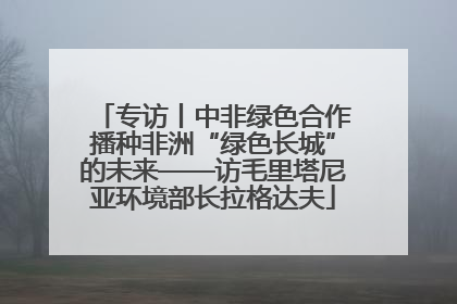 专访丨中非绿色合作播种非洲“绿色长城”的未来——访毛里塔尼亚环境部长拉格达夫