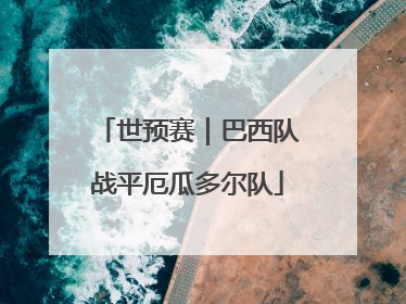 世预赛｜巴西队战平厄瓜多尔队