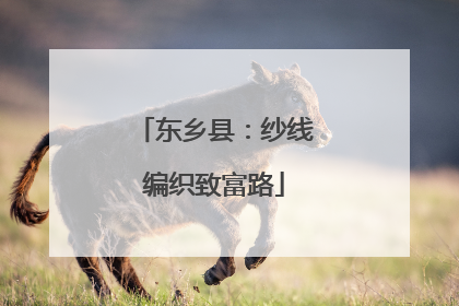 东乡县：纱线编织致富路