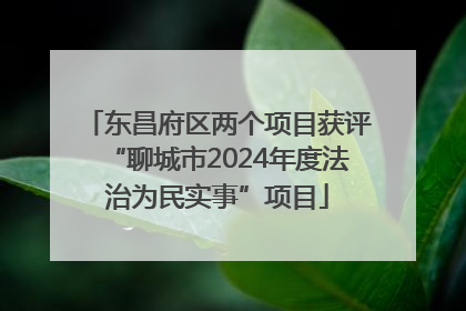 东昌府区两个项目获评“聊城市2024年度法治为民实事”项目